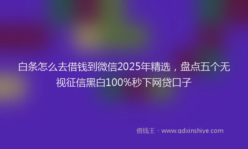 白条怎么去借钱到微信2025年精选，盘点五个无视征信黑白100%秒下网贷口子