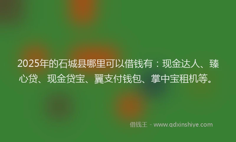 2025年的石城县哪里可以借钱有：现金达人、臻心贷、现金贷宝、翼支付钱包、掌中宝租机等。