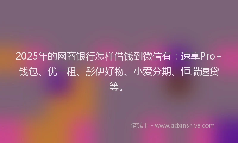 2025年的网商银行怎样借钱到微信有：速享Pro+钱包、优一租、彤伊好物、小爱分期、恒瑞速贷等。