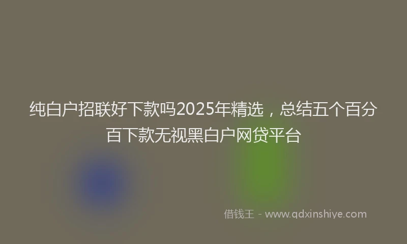 纯白户招联好下款吗2025年精选，总结五个百分百下款无视黑白户网贷平台