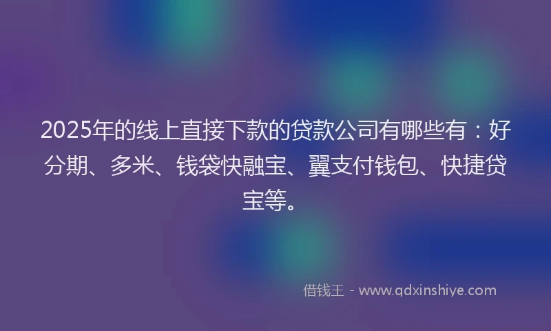 2025年的线上直接下款的贷款公司有哪些有：好分期、多米、钱袋快融宝、翼支付钱包、快捷贷宝等。