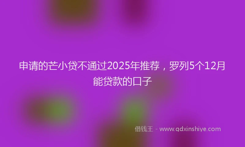 申请的芒小贷不通过2025年推荐，罗列5个12月能贷款的口子
