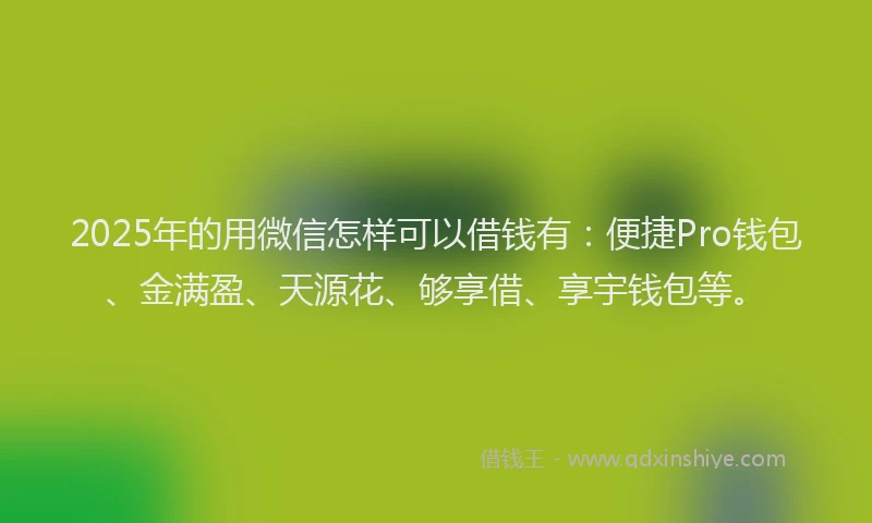 2025年的用微信怎样可以借钱有：便捷Pro钱包、金满盈、天源花、够享借、享宇钱包等。
