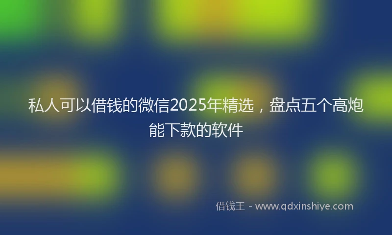 私人可以借钱的微信2025年精选，盘点五个高炮能下款的软件