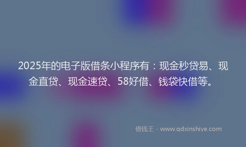 2025年的电子版借条小程序有：现金秒贷易、现金直贷、现金速贷、58好借、钱袋快借等。