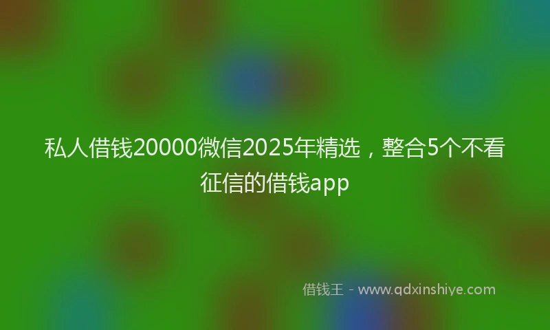 私人借钱20000微信2025年精选，整合5个不看征信的借钱app