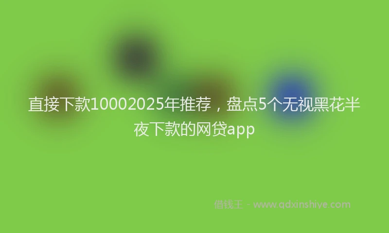 直接下款10002025年推荐，盘点5个无视黑花半夜下款的网贷app