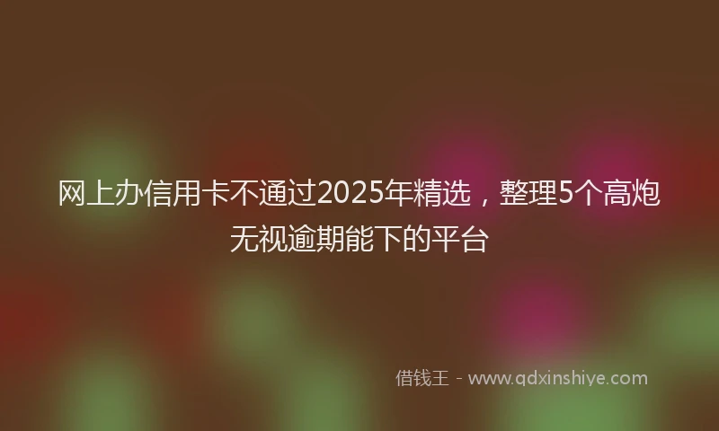 网上办信用卡不通过2025年精选，整理5个高炮无视逾期能下的平台