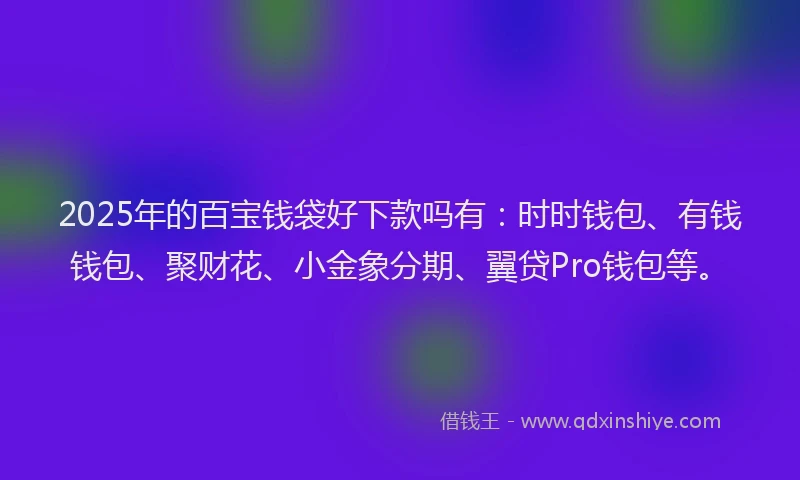 2025年的百宝钱袋好下款吗有：时时钱包、有钱钱包、聚财花、小金象分期、翼贷Pro钱包等。
