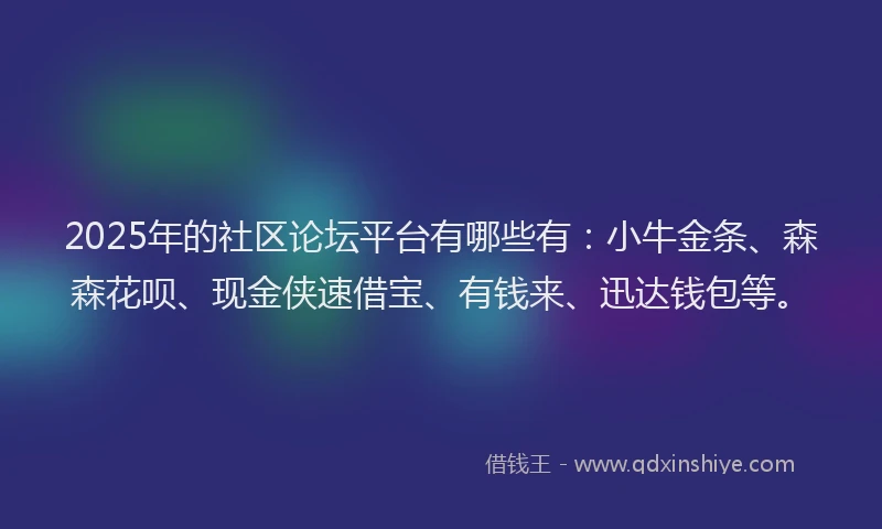 2025年的社区论坛平台有哪些有：小牛金条、森森花呗、现金侠速借宝、有钱来、迅达钱包等。