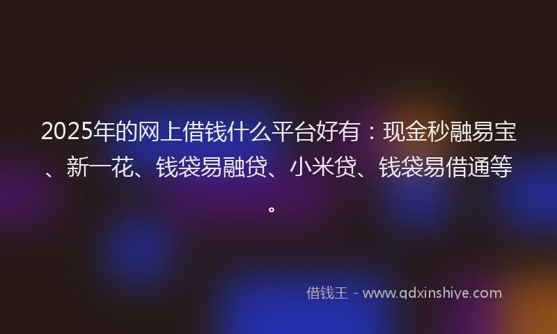 2025年的网上借钱什么平台好有：现金秒融易宝、新一花、钱袋易融贷、小米贷、钱袋易借通等。