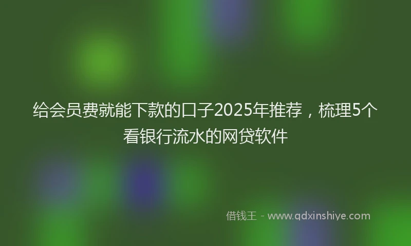 给会员费就能下款的口子2025年推荐，梳理5个看银行流水的网贷软件