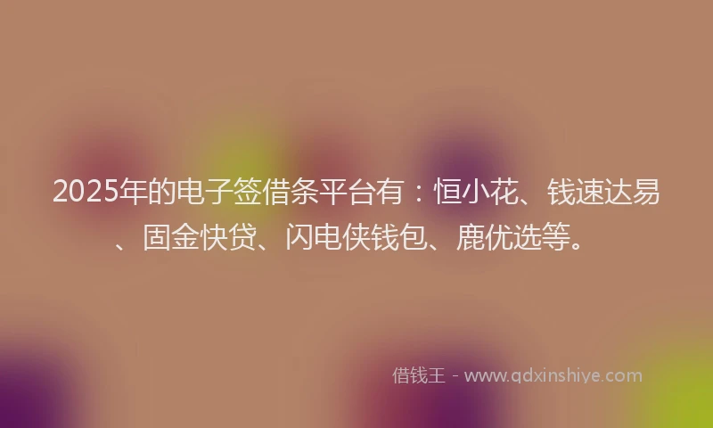 2025年的电子签借条平台有：恒小花、钱速达易、固金快贷、闪电侠钱包、鹿优选等。