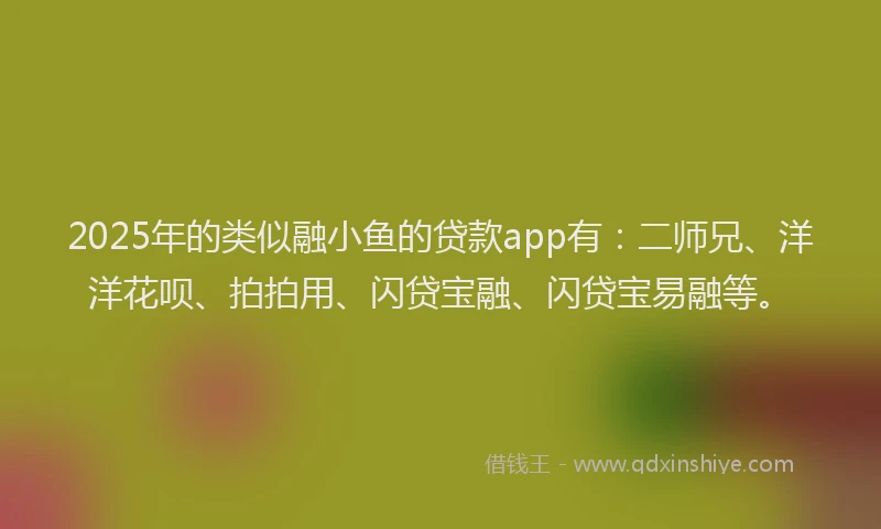 2025年的类似融小鱼的贷款app有：二师兄、洋洋花呗、拍拍用、闪贷宝融、闪贷宝易融等。