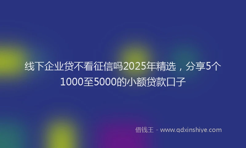 线下企业贷不看征信吗2025年精选，分享5个1000至5000的小额贷款口子