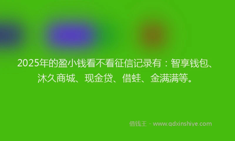 2025年的盈小钱看不看征信记录有：智享钱包、沐久商城、现金贷、借蛙、金满满等。