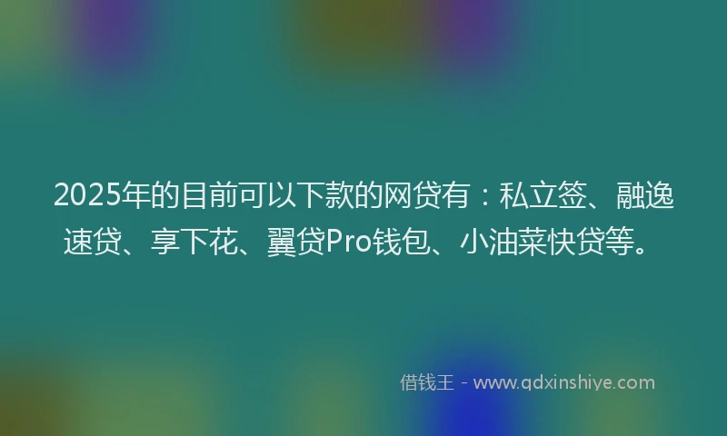2025年的目前可以下款的网贷有：私立签、融逸速贷、享下花、翼贷Pro钱包、小油菜快贷等。