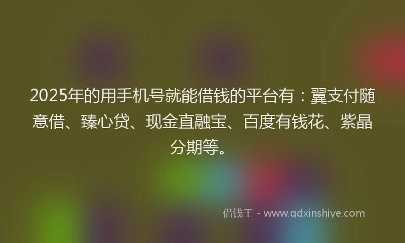 2025年的用手机号就能借钱的平台有：翼支付随意借、臻心贷、现金直融宝、百度有钱花、紫晶分期等。