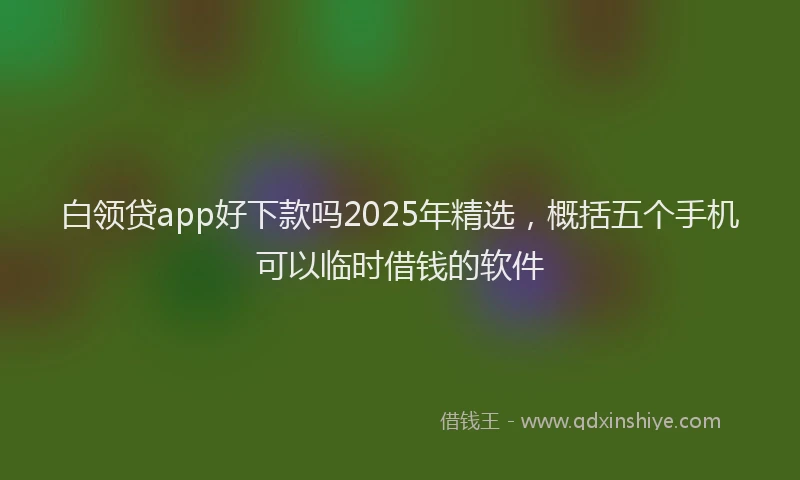 白领贷app好下款吗2025年精选，概括五个手机可以临时借钱的软件