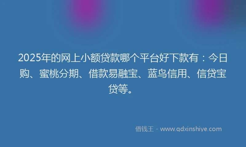2025年的网上小额贷款哪个平台好下款有：今日购、蜜桃分期、借款易融宝、蓝鸟信用、信贷宝贷等。