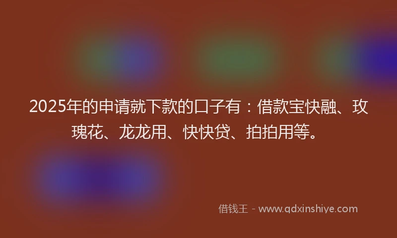 2025年的申请就下款的口子有：借款宝快融、玫瑰花、龙龙用、快快贷、拍拍用等。