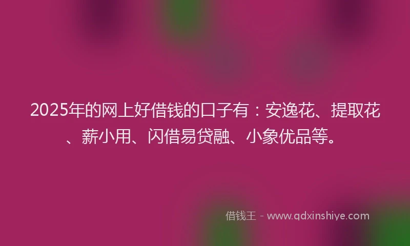 2025年的网上好借钱的口子有：安逸花、提取花、薪小用、闪借易贷融、小象优品等。