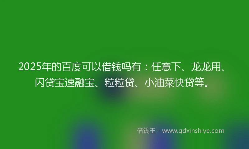 2025年的百度可以借钱吗有：任意下、龙龙用、闪贷宝速融宝、粒粒贷、小油菜快贷等。