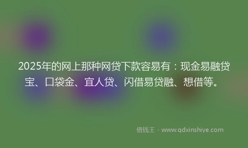 2025年的网上那种网贷下款容易有：现金易融贷宝、口袋金、宜人贷、闪借易贷融、想借等。