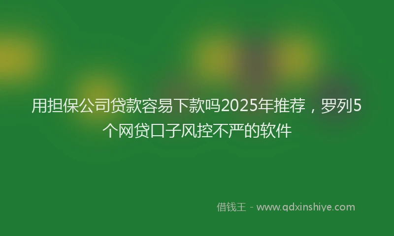 用担保公司贷款容易下款吗2025年推荐，罗列5个网贷口子风控不严的软件