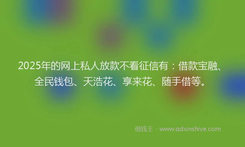 2025年的网上私人放款不看征信有：借款宝融、全民钱包、天浩花、享来花、随手借等。