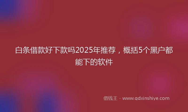 白条借款好下款吗2025年推荐，概括5个黑户都能下的软件
