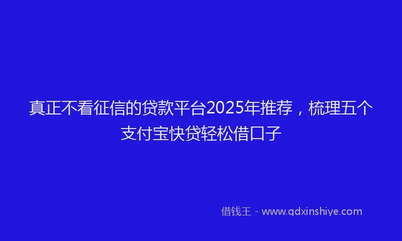 真正不看征信的贷款平台2025年推荐，梳理五个支付宝快贷轻松借口子