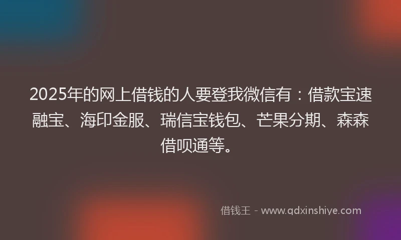 2025年的网上借钱的人要登我微信有：借款宝速融宝、海印金服、瑞信宝钱包、芒果分期、森森借呗通等。
