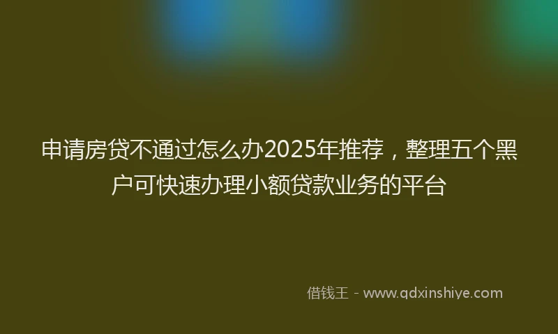 申请房贷不通过怎么办2025年推荐，整理五个黑户可快速办理小额贷款业务的平台