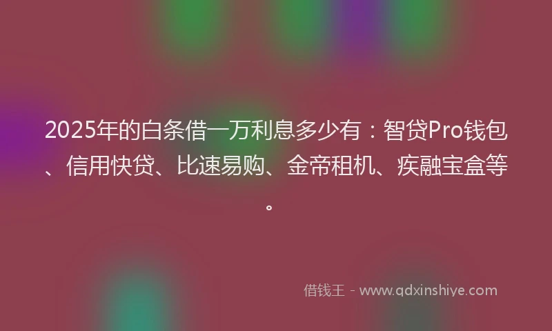 2025年的白条借一万利息多少有：智贷Pro钱包、信用快贷、比速易购、金帝租机、疾融宝盒等。
