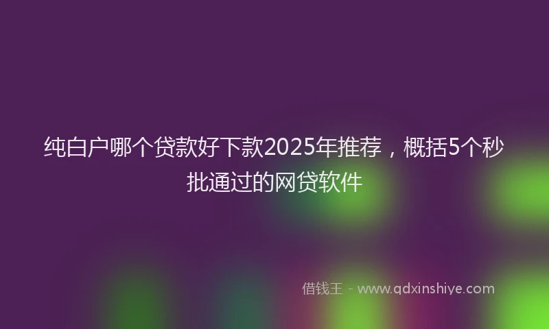 纯白户哪个贷款好下款2025年推荐，概括5个秒批通过的网贷软件
