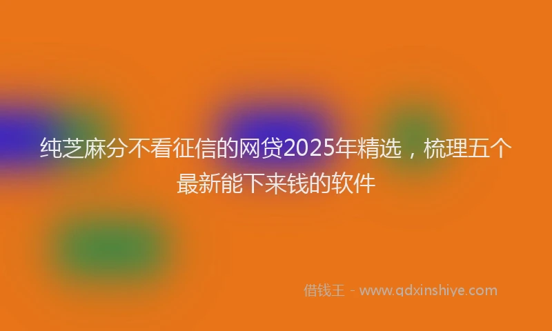 纯芝麻分不看征信的网贷2025年精选，梳理五个最新能下来钱的软件