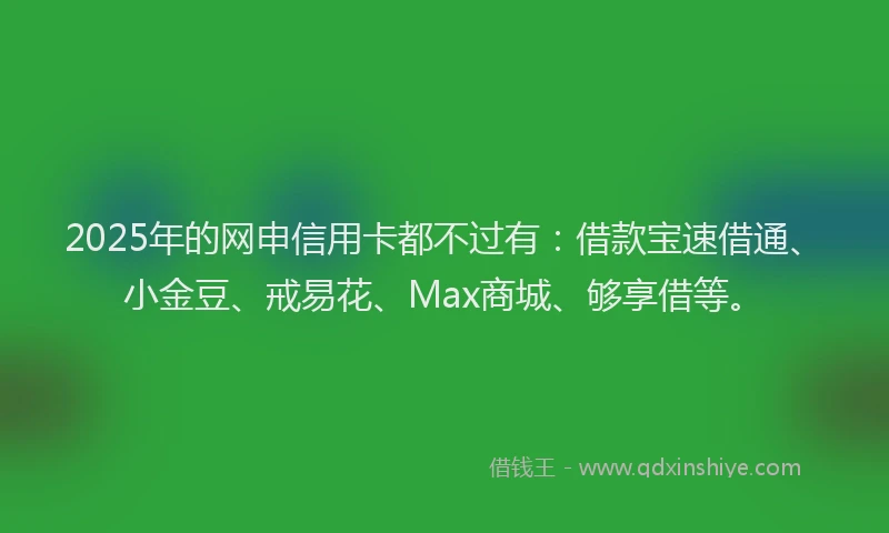 2025年的网申信用卡都不过有：借款宝速借通、小金豆、戒易花、Max商城、够享借等。