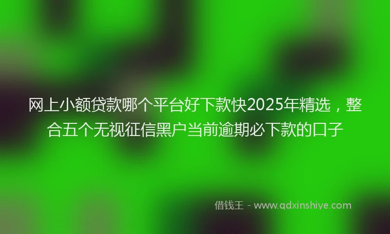 网上小额贷款哪个平台好下款快2025年精选，整合五个无视征信黑户当前逾期必下款的口子