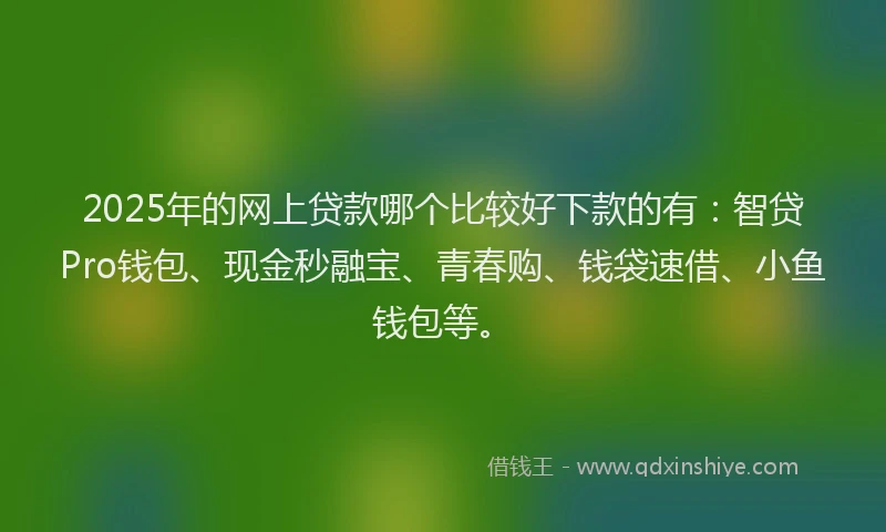2025年的网上贷款哪个比较好下款的有：智贷Pro钱包、现金秒融宝、青春购、钱袋速借、小鱼钱包等。