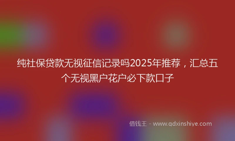 纯社保贷款无视征信记录吗2025年推荐，汇总五个无视黑户花户必下款口子