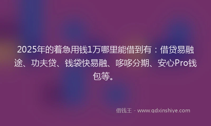 2025年的着急用钱1万哪里能借到有：借贷易融途、功夫贷、钱袋快易融、哆哆分期、安心Pro钱包等。