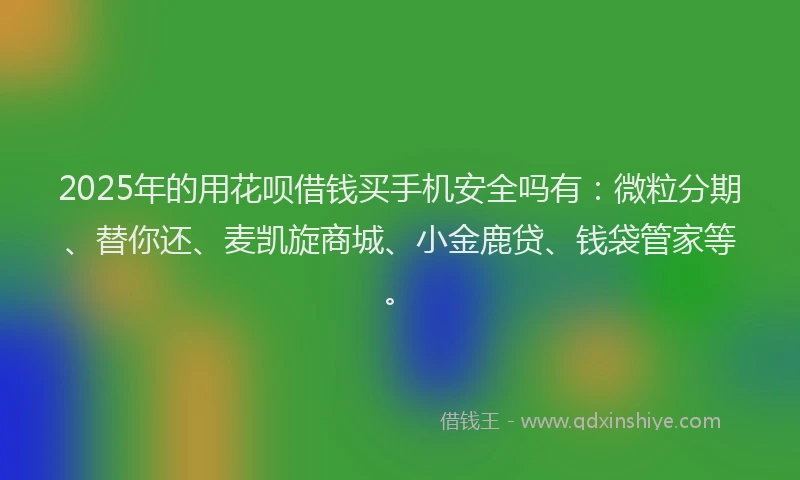 2025年的用花呗借钱买手机安全吗有：微粒分期、替你还、麦凯旋商城、小金鹿贷、钱袋管家等。