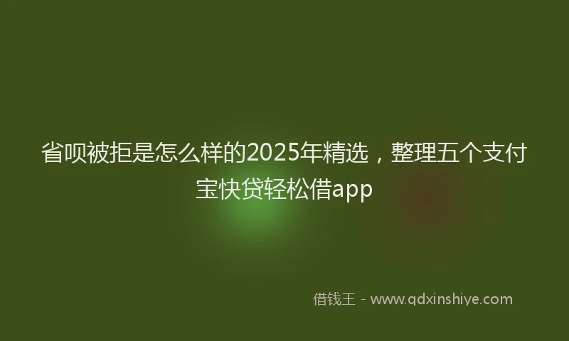 省呗被拒是怎么样的2025年精选，整理五个支付宝快贷轻松借app