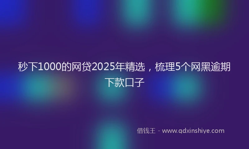 秒下1000的网贷2025年精选，梳理5个网黑逾期下款口子