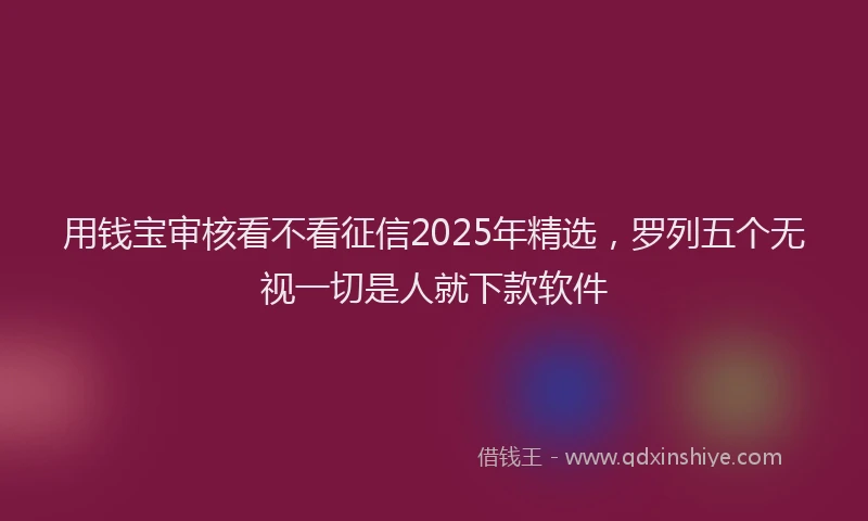 用钱宝审核看不看征信2025年精选，罗列五个无视一切是人就下款软件
