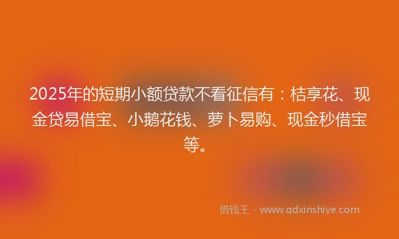 2025年的短期小额贷款不看征信有：桔享花、现金贷易借宝、小鹅花钱、萝卜易购、现金秒借宝等。