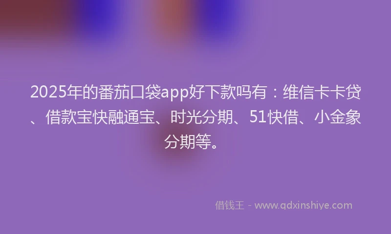 2025年的番茄口袋app好下款吗有：维信卡卡贷、借款宝快融通宝、时光分期、51快借、小金象分期等。