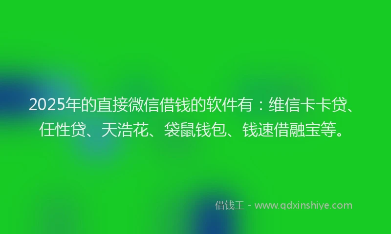 2025年的直接微信借钱的软件有：维信卡卡贷、任性贷、天浩花、袋鼠钱包、钱速借融宝等。