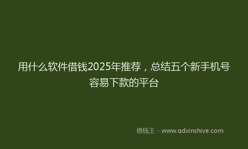 用什么软件借钱2025年推荐，总结五个新手机号容易下款的平台